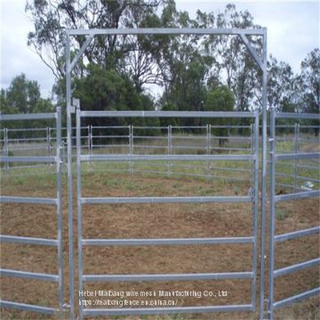 High Quality Strength Metal 4 x 4 Cattle Panels for Goats