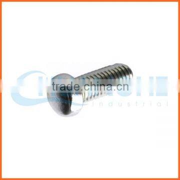 China supplier s-type anti-theft screw