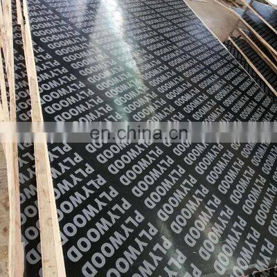 Peri formwork plywood price  building board plywood 18mm pakistan marine board plywood price