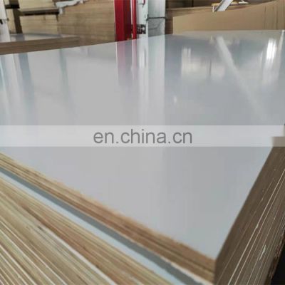 Wholesale hardwood eucalyptus core 18mm melamine laminated plywood for furniture