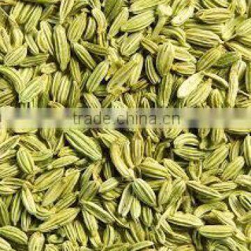 Fennel Seeds photo-4