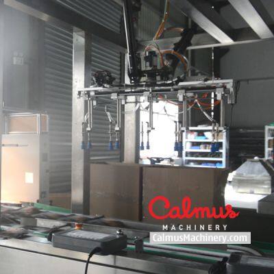 Snack Bags Case Packer Machine and Packaging Line photo-4