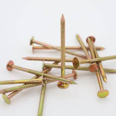 Hot-Dipped Galvanized Ring Shank Nails for Exterior Applications photo-5