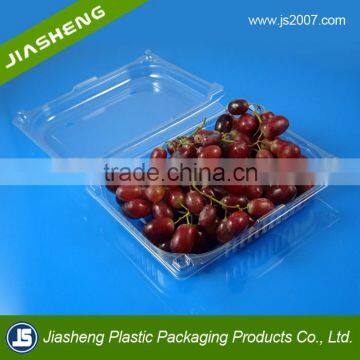 Disposable Eco-friendly Customized Plastic Clear Food Tray, Fruit Plastic Box