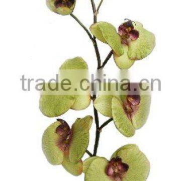 Silk Orchid ( Phalaenopsis with 6 Flowers and 3 Buds )