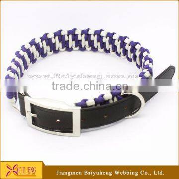 Dog Nylon Collar Custom Dog Chain Collar Fashion Dog Show Collar Wholesale photo-4