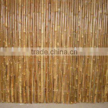 Black bamboo fence Sun-017