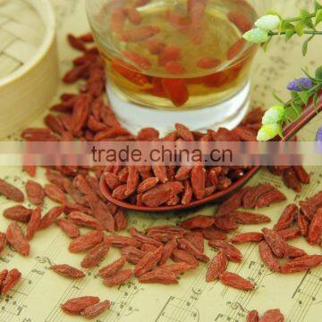 Export level Chinese Wolfberry nutrition Good Quality Ningxia 280 Grains/50G Dried Goji Berry for sale Ningxia Goji dreid fruit