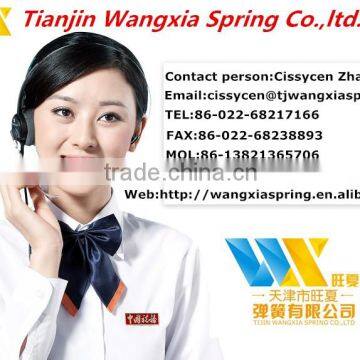Spring Stainless Steel Metal Clip