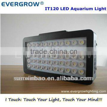 Evergrow IT2060 programmable aquarium LED lights