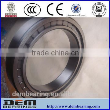 Full cylindrical roller bearing SL183011