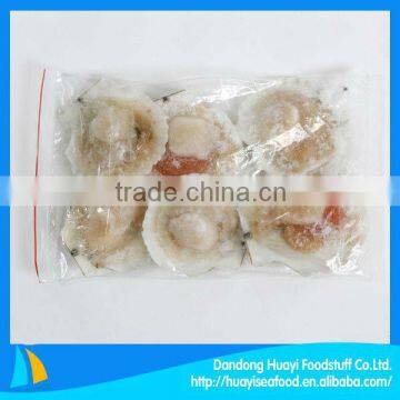 Supply kinds of scallop frozen half shell scallops