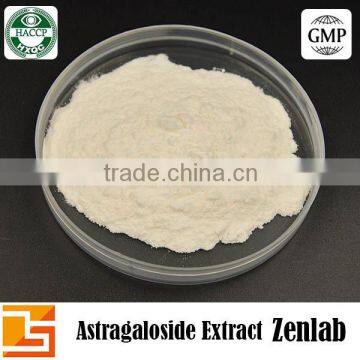 100% Natural Professional Organic Astragalus Root Extract photo-2