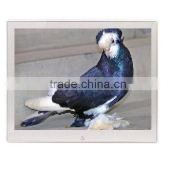 10.1" Metal Case Digital Video Frame