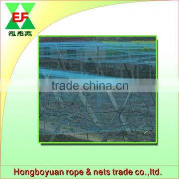 My company exports 7gsm extruded bird net TO Europe