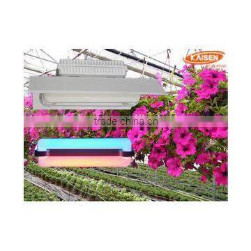 200w New Product Jiangsu Red Blue Color Full Spectrum Plant Light