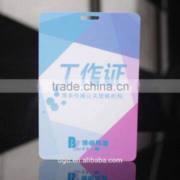 Fashion and Fancy Double Sided PVC Business Blank Card
