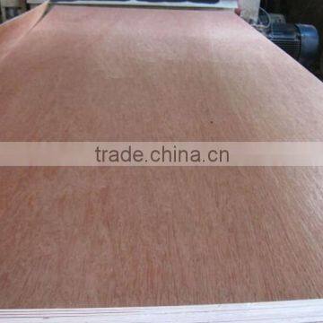 WBP glue marine plywood sheet with high quality