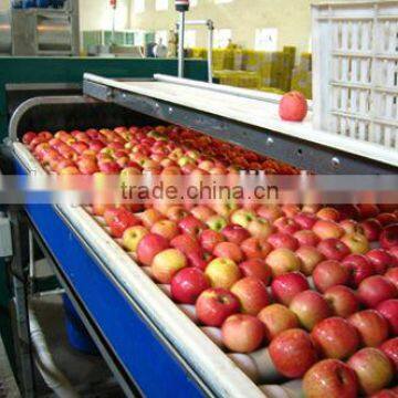 apple juice processing line