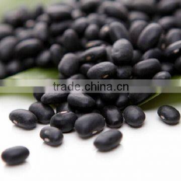 2014 Crop Black Beans, Black Soya Beans Yellow Kernels photo-2