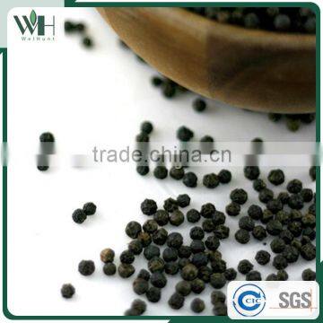 Cambodia Best Grade Black Pepper 550gl/500gl for Black Pepper Extract photo-2