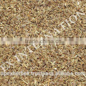 Dill Seeds TBC photo-3