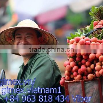 VIET NAM FROZEN LYCHEE / LITCHI / LITCHEE