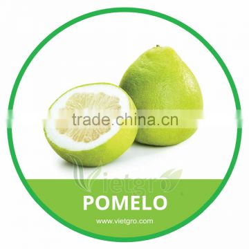 HIGH QUALITY FRESH WHITE FLESH POMELO