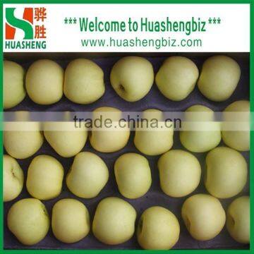 2016 Chinese golden delicious fresh apple with best quality