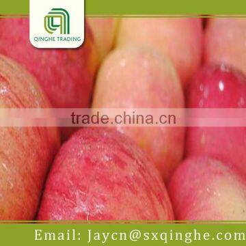 apple fuji, red delicious apple fruit export