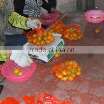 Fresh Baby Mandarin photo-4