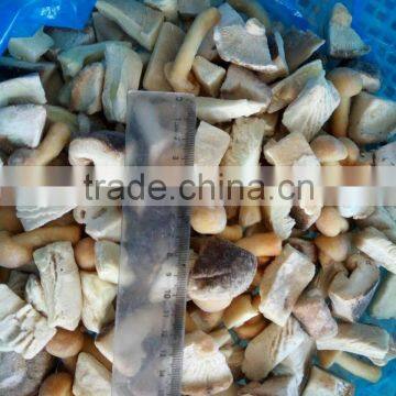 Top Quality China Mushroom With Good Price photo-2