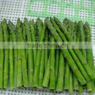 2016 Frozen green spring/summer asparagus cut/whole