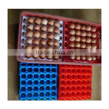 Plastic egg tray making machine supplier