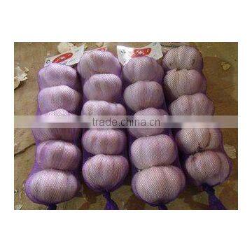 2016 New Crop Factory Garlic