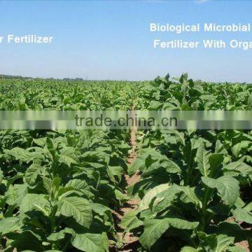Biological Microbial Compound Fertilizer With Organic Matter photo-4