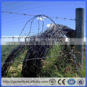 14*14 16*16 1.5-2.7mm electro/hot dipped galvanized double barbed wire price(Guangzhou Factory)