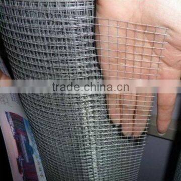 bird cage wire mesh(welded wire mesh)