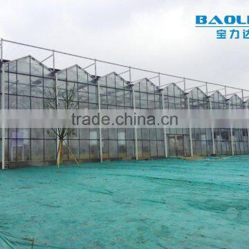 Multi-span Glass Tunnel Greenhouse photo-5
