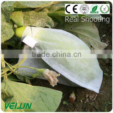 PP Nonwoven Fabric fruit bag