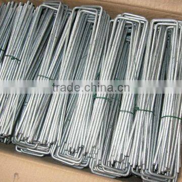 galvanized sod staple