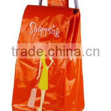 Wholesale Vegetable Trolley Shopping Bag photo-3