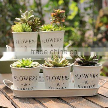 Small Metal Flower Pot, Garden Metal Pot Set With Tray for Garden/home photo-4