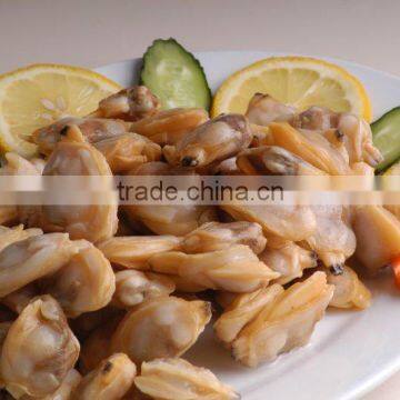 short neck clam