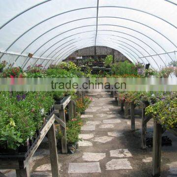 Small single span film covering flower greenhouse