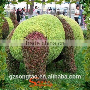 Wholesale Garden Decorative Aritificial Panda Topiary Large Artificial Green Carton Topiary photo-4