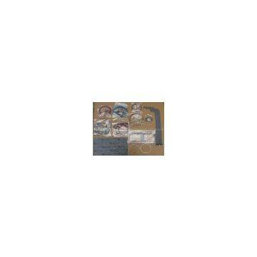 Cummins N14 Repair Kits (down) 3801468