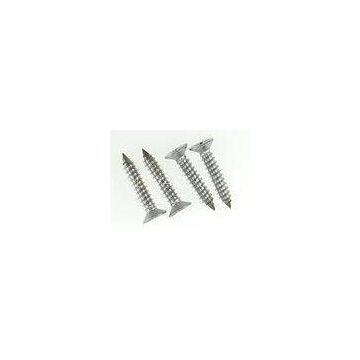 Polishing Stainless Steel Cross Recessed Pan Head Screw Tapping Sharp Point 6 X 35mm