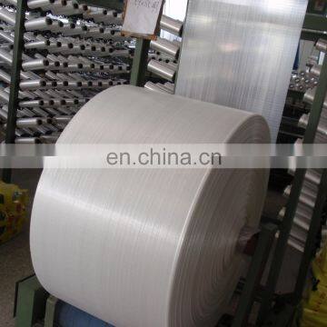 White Raffia PP Polypropylene Fabric