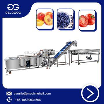 Automatic Food Equipment Fruit and Vegetable Bubble Washing Machine